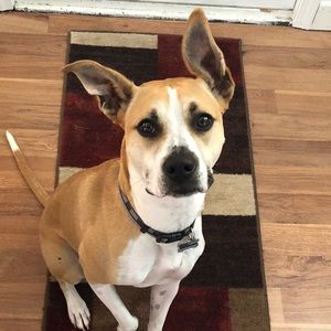 Meet your Posher, Mark